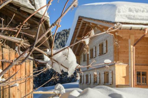 Chalet Berghaus Gauertal