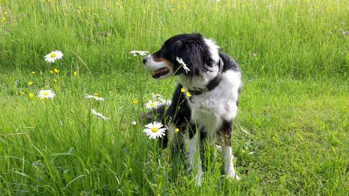 Apartamento Hof Im Feld