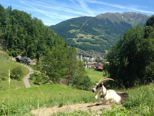 Apartamento Ferienwohnung Tschagguns
