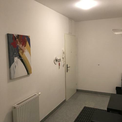Lg Lovely Apartment