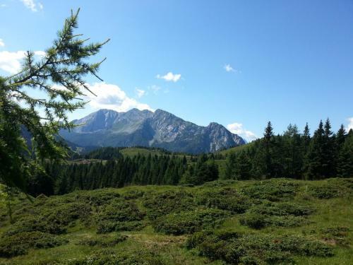 Agroturismo Straniger Alm
