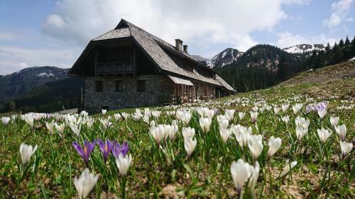 Agroturismo Straniger Alm