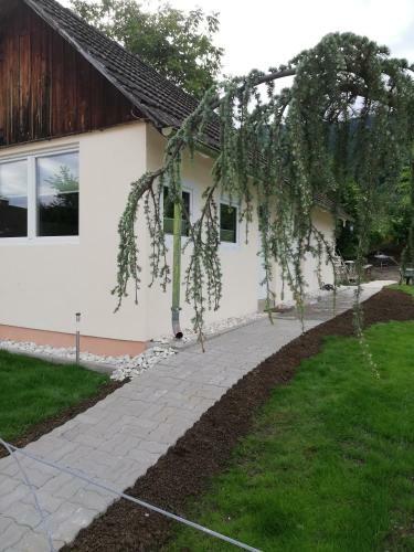 Ferienhaus Am-moore