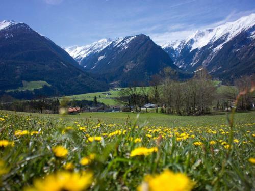 Apartamento Penthouse Tauernfenster, Neukirchen