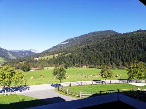 Apartamento Appartement Nani