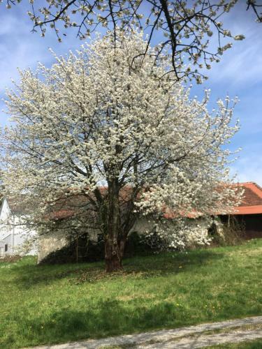 Hostal Landhaus Grete