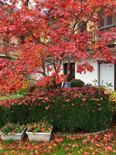 Hostal Landhaus Grete