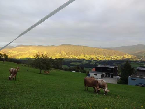 Apartamento Ferienwohnung Bergblick