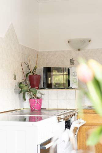 Chalet Taurachblick