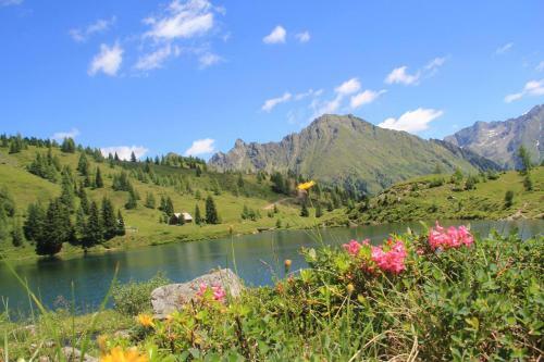 Alpenchalets Weissenbacher