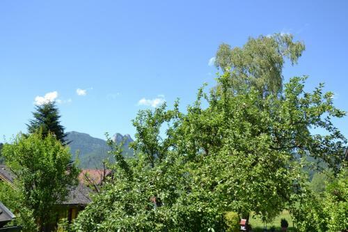Apartamento Coralie