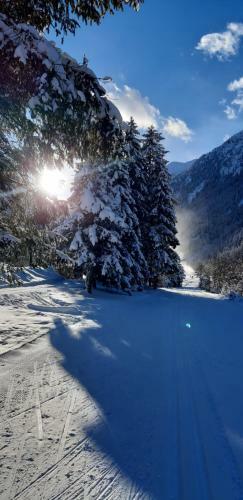 Stubai Apartment Telfes