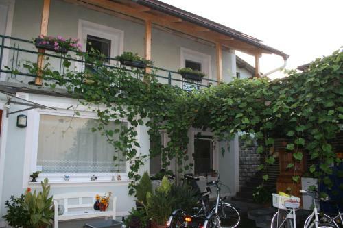 Hostal Pension Pock