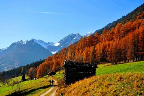 Apart- Chalet Gletschergl�ck