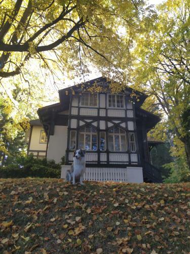 Hostal Alban Berg Villa