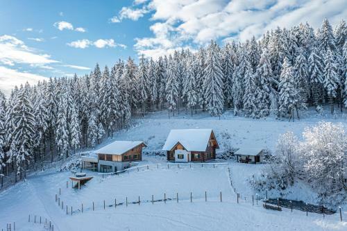 Villa Schilcherland Chalet