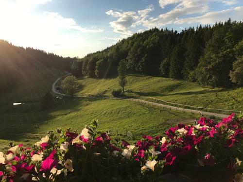 Hostal Ferienwohnung Hochsteinalm