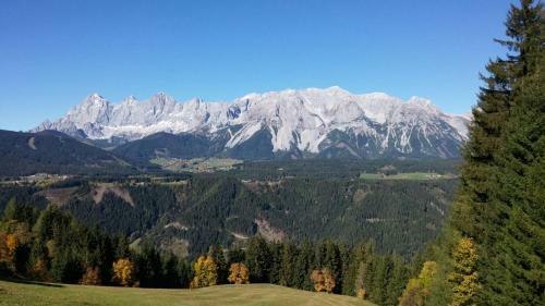 Apartamento Ferienwohnungen Reinbacher - Primps