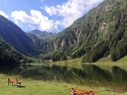 Apartamento Ferienwohnungen Reinbacher - Primps