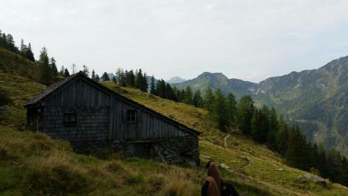 Apartamento Ferienwohnungen Reinbacher - Primps