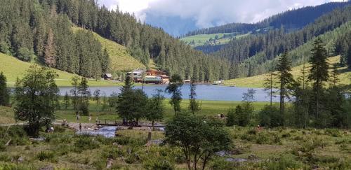 Apartamento Ferienwohnungen Reinbacher - Primps