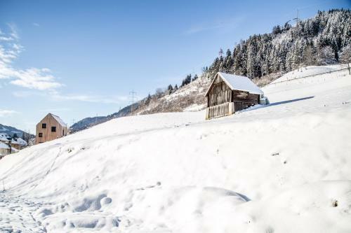 Apartamento Hochsitz Schladming