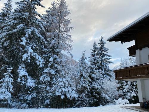 Hostal Chalet Janer