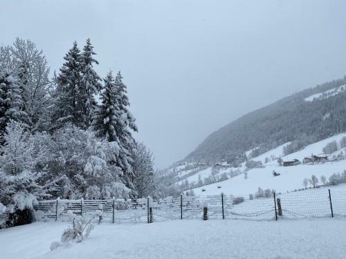 Hostal Chalet Janer
