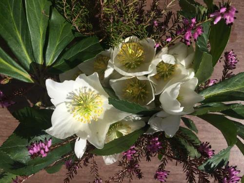 Apartamento Appartement Anton