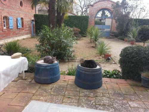 Haute-garonne B&B In An 18th-century House