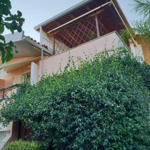 The Jasmine House
