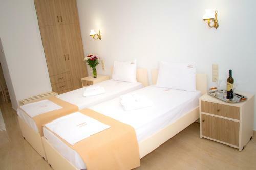 Hotel Astron