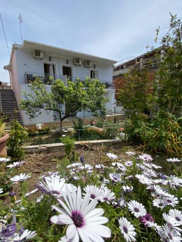 Apartamento Yiannis Studios