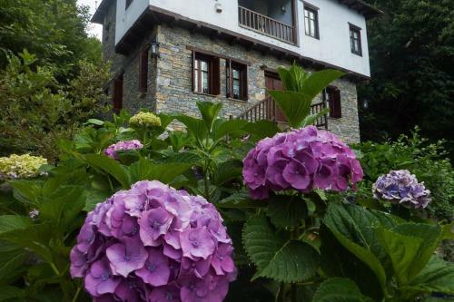 Villa Phoevos' Residence