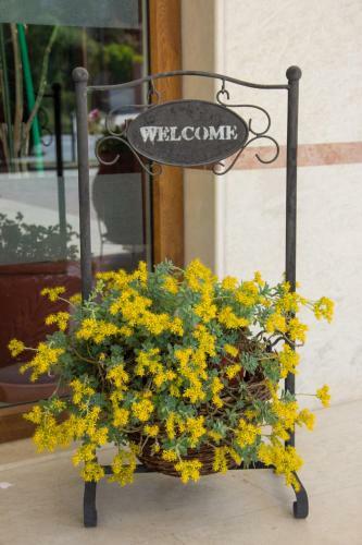 Asteras Hotel