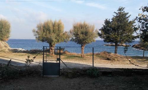 Naxos Beach Front House