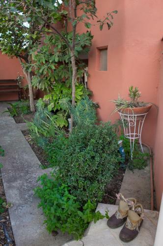 Areta's House Nea Fokaia
