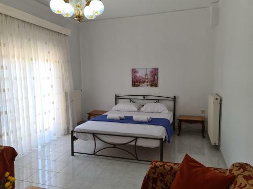 Grand Apartment
