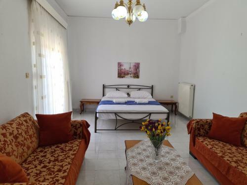Grand Apartment