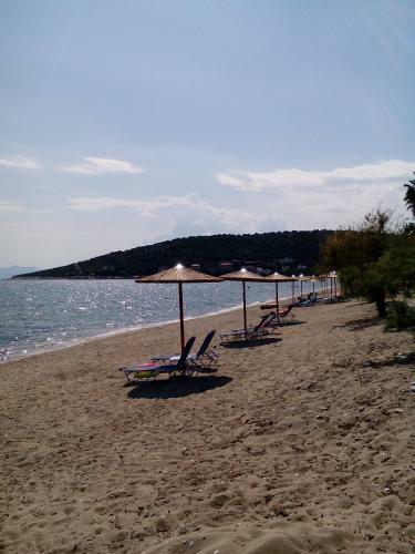 Apartamento Iordanis