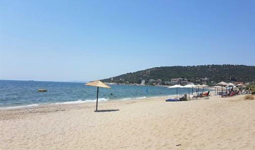 Sia Beach House