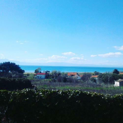 Lefter's Cottege