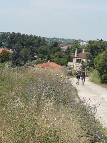 Lefter's Cottege