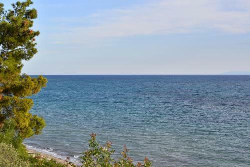 Summerday Villa Private Beach
