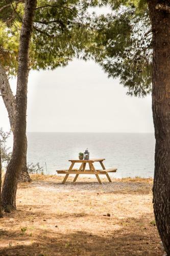 Summerday Villa Private Beach