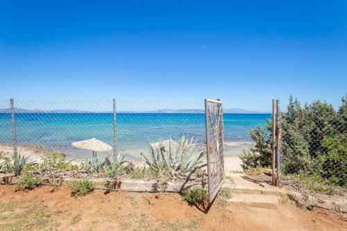 ''nirvana Seaside'' By The Beach