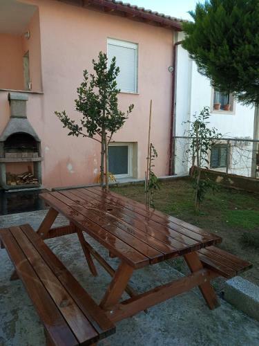 Comfortable Apartment