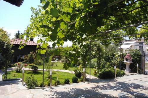 Villa Viktoria Halkidiki