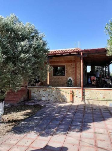 George's House