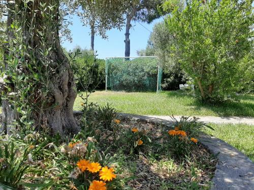 Apartamento Dimi Seafront